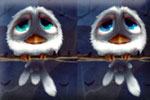 Birdies differences